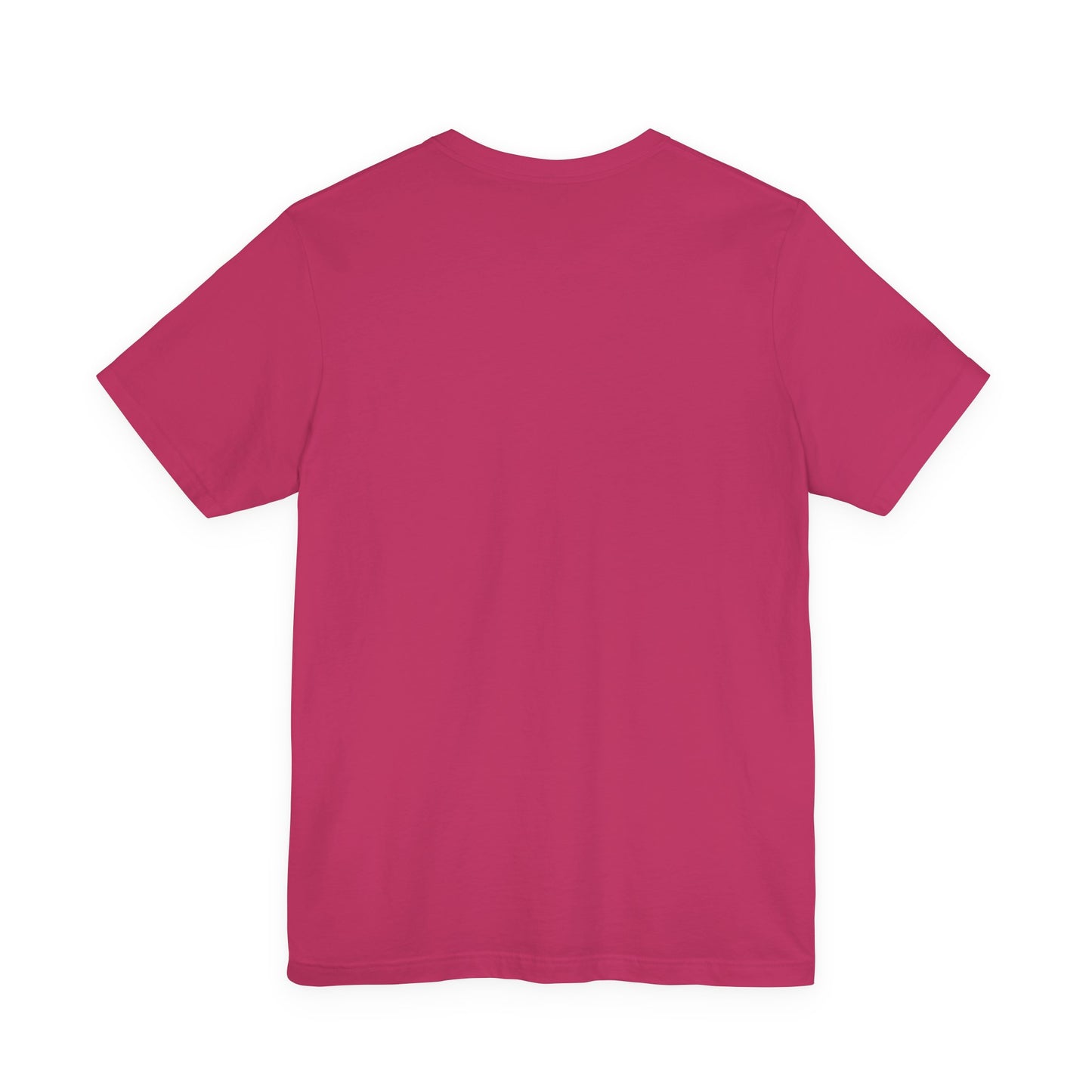 Assistant Principal Jersey Short Sleeve Tee, Leopard Print and Pastel Rainbow Design T-Shirt, School Principal Gifts, Back to School