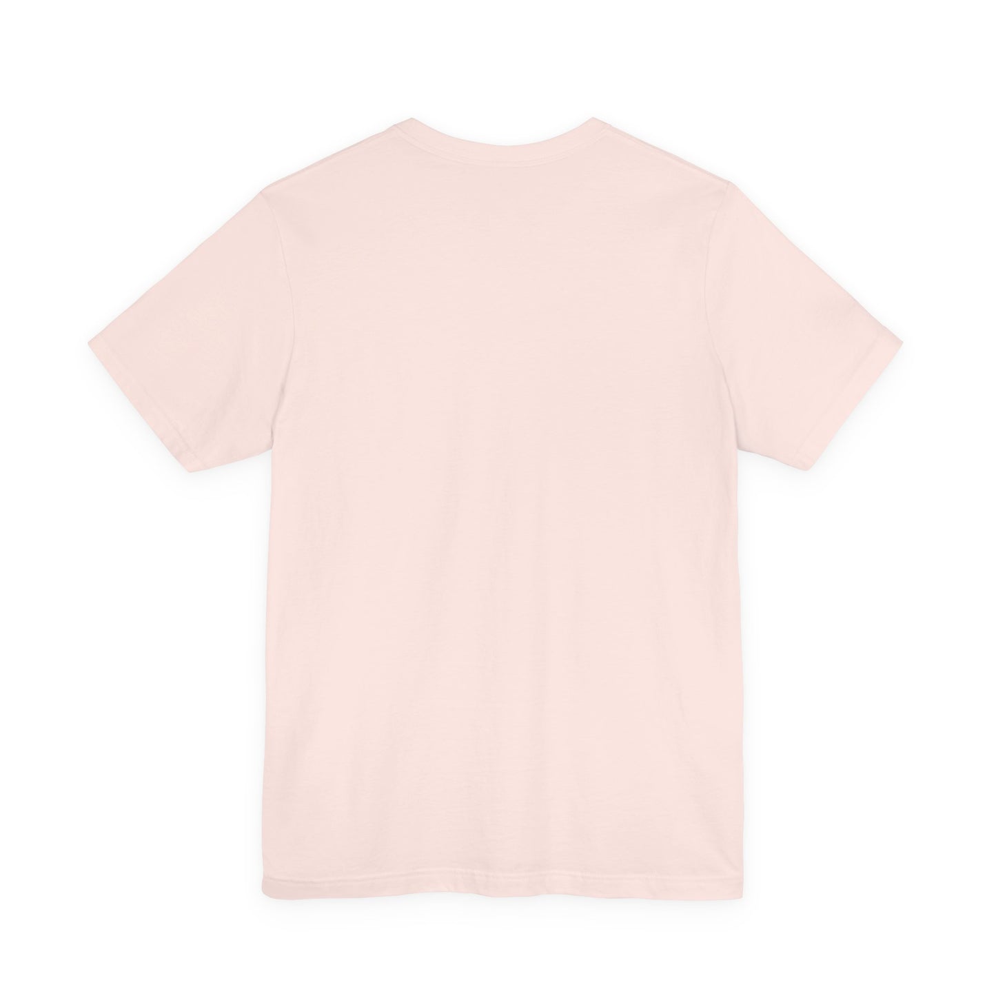 Assistant Principal Jersey Short Sleeve Tee, Leopard Print and Pastel Rainbow Design T-Shirt, School Principal Gifts, Back to School
